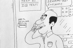 IQ TEST