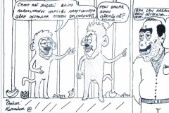 MONKEYS