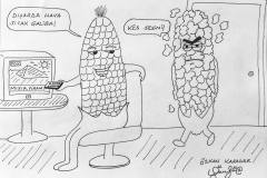 POP CORN
